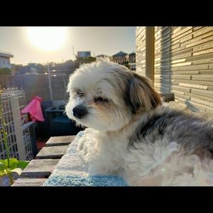 Meet your Posher, Yukiri